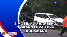 2 Mobil Adu Banteng,...