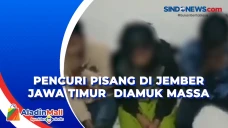 Pencuri Pisang di Jember...