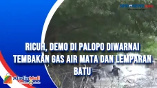 Ricuh, Demo di Palopo...