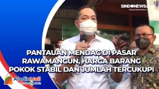 Pantauan Mendag di Pasar...