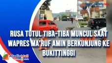 Rusa Tutul Tiba-Tiba...