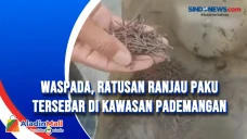 Waspada, Ratusan Ranjau...