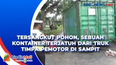 Tersangkut Pohon, Sebuah...