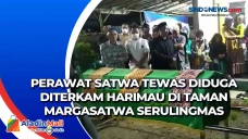 Perawat Satwa Tewas...