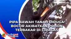Pipa Bawah Tanah Diduga...