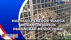 Harimau Peneror Warga...