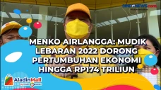 Menko Airlangga: Mudik...