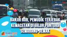 Banjir Rob, Pemudik...