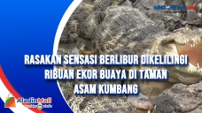 Rasakan Sensasi Berlibur...
