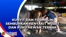 Kunyit dan Formalin...