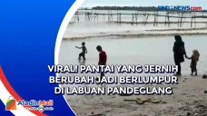 Viral! Pantai yang Jernih...