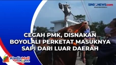 Cegah PMK, Disnakan...