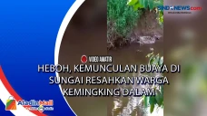 Heboh, Kemunculan Buaya...