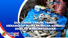 Dua Tahun Vakum, Tradisi...