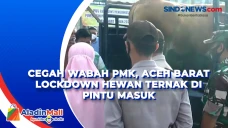 Cegah Wabah PMK, Aceh...