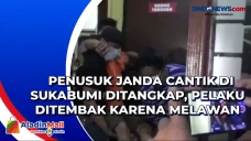 Penusuk Janda Cantik...