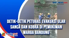 Detik-detik Petugas...