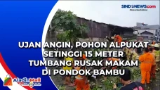 Hujan Angin, Pohon Alpukat...