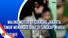 Maling Motor di Ciracas...