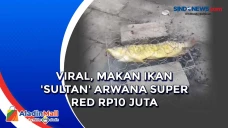 Viral, Makan Ikan Sultan...
