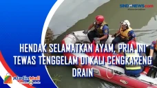 Hendak Selamatkan Ayam,...