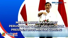 Menko Luhut akan Audit...