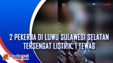 2 Pekerja di Luwu Sulawesi...