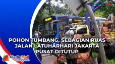 Pohon Tumbang, Sebagian...