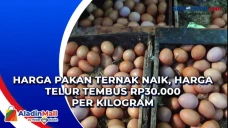 Harga Pakan Ternak Naik,...
