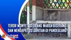 Teror Monyet, Seorang...