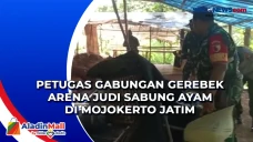 Petugas Gabungan Gerebek...