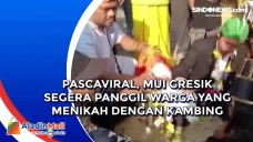 Pascaviral, MUI Gresik...