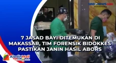 7 Jasad Bayi Ditemukan...