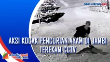 Aksi Kocak Pencurian...