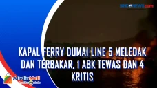 Kapal Ferry Dumai Line...