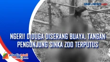 Ngeri! Diduga Diserang...