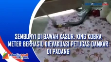 Sembunyi di Bawah Kasur,...