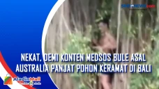 Nekat, Demi Konten Medsos...