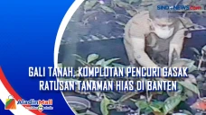 Gali Tanah, Komplotan...
