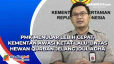 PMK Menular Lebih Cepat,...