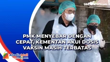 PMK Menyebar dengan...