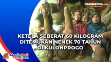 Ketela Seberat 60 Kilogram...