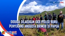 Diduga Dilakukan KKB,...