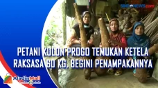Petani Kulon Progo Temukan...