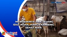 Merebaknya PMK Jelang...