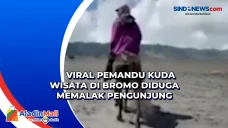 Viral Pemandu Kuda Wisata...