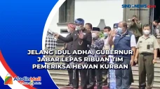 Jelang Idul Adha, Gubernur...