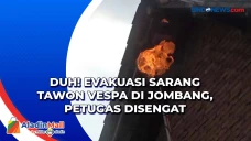 Duh! Evakuasi Sarang...