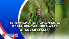 Tersangkut di Pohon...
