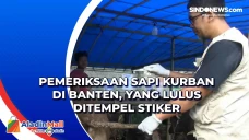 Pemeriksaan Sapi Kurban...
